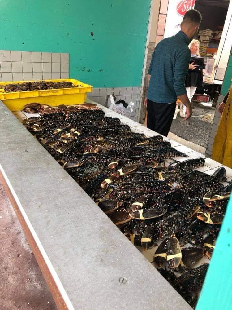 L'étal au marché devant le mur turquoise